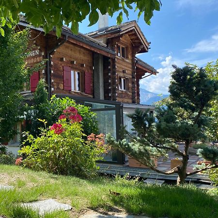 La Demeure Des Elfes Bed & Breakfast Albinen Exterior photo
