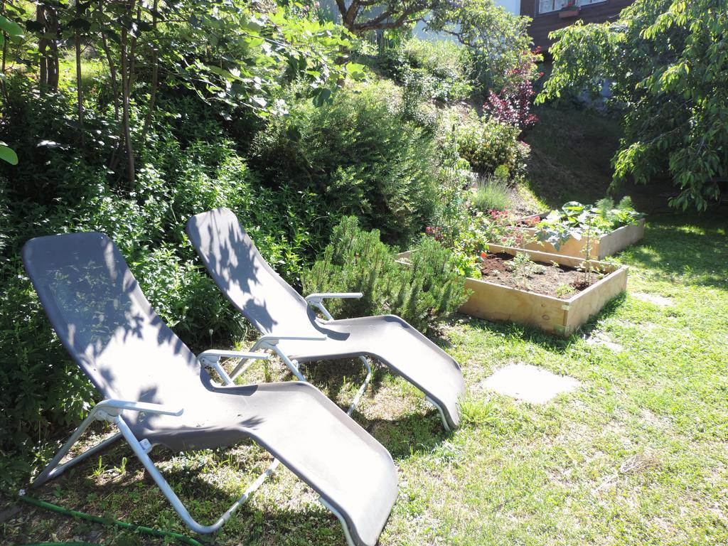 La Demeure Des Elfes Bed & Breakfast Albinen Exterior photo